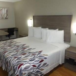 Фотографии мини отеля 
            Red Roof Inn Bay Minette