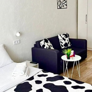 Фотография квартиры Квартира Однокомнатная Рядом с ЛА Трактор и Красивым Видом на Собор