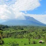 Фотография гостевого дома Maha Neka Villa