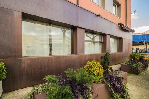 Фотография гостиницы Hotel Casa Jacinto