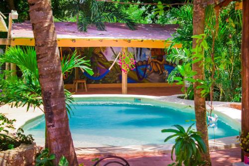 Фотография мини отеля Casa De Los Pájaros - B&B