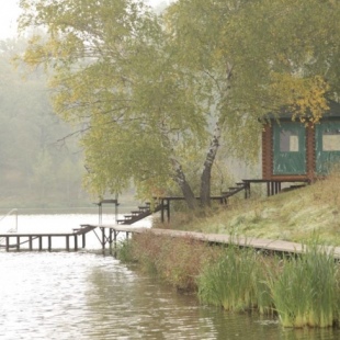 Фотография базы отдыха Мохнатый шмель