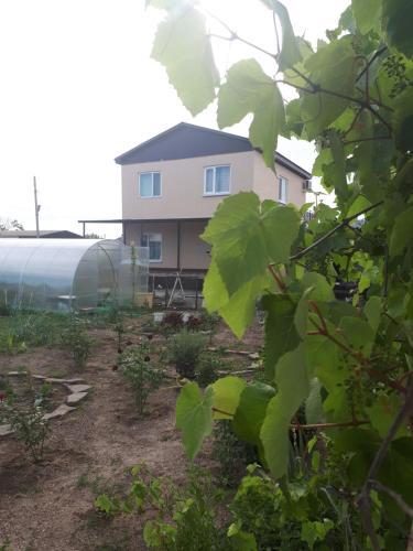 Фотография гостевого дома Сокол