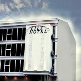 Фотография мини отеля lily airport otel