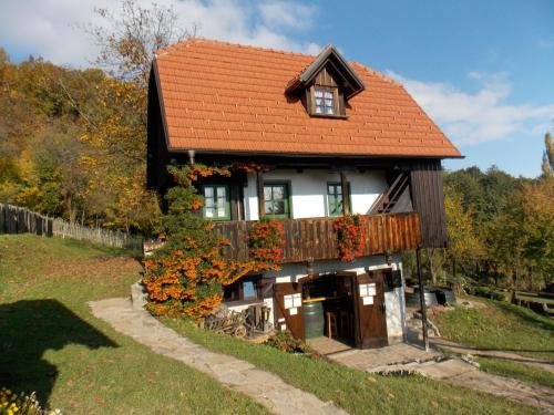 Фотография гостевого дома Country house Etno kuća pod Okićem