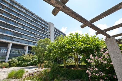 Фотография гостиницы Hotel Bildungsblick