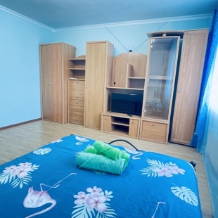 Фотография квартиры Апартаменты Дмитриева 4