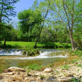 Фотография гостевого дома Chili Pepper Falls