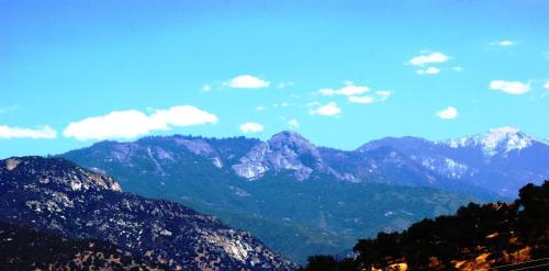 Фотография гостевого дома Shady Knoll