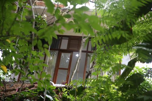 Фотография гостиницы Pepper Garden Resort