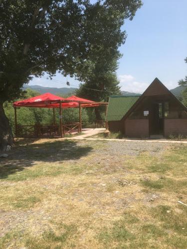 Фотография кемпинга Come to Aragvi