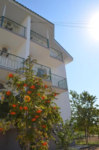 Фотография гостиницы Foton