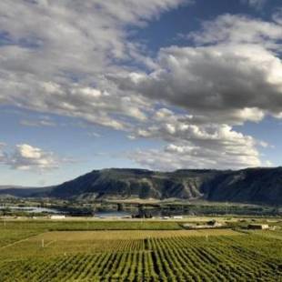 Фотографии мини отеля
Lone Point Cellars