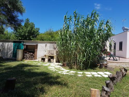 Фотография гостевого дома Regina Isabella Rooms