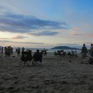 Фотографии гостиницы
Hotel Casa Carlota Tamarindo