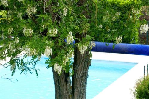 Фотография мини отеля LA FERME D'AIGUROLLES