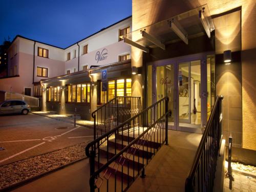 Фотография гостиницы Hotel Viktor