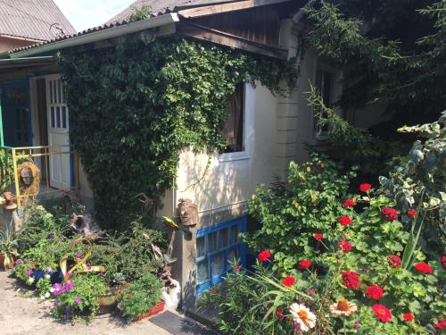 Фотография гостевого дома Грушевый дом