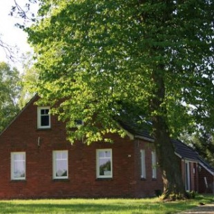 Фотография гостевого дома Haus Linden