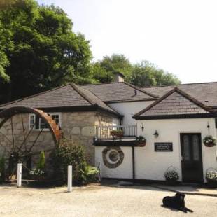 Фотографии мини отеля
The Waterwheel