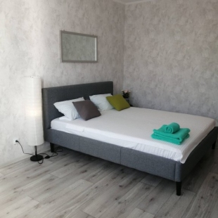 Фотография квартиры Апартаменты на Толстого 4