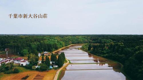 Фотография мини отеля Hotel Otani