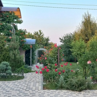 Фотография Коттеджа Частный дом Уютный Домик