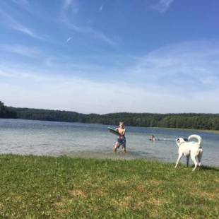 Фотографии гостевого дома
Dom pod Jabłonia