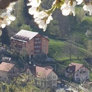 Фотография гостевого дома Vila Muntii Bucegi