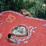 Фотография гостиницы The Sankara Resort by Pramana