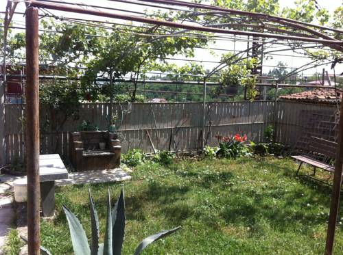 Фотография хостела Saba Hostel