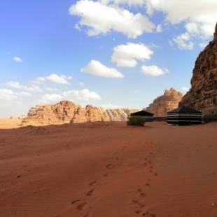 Фотографии кемпинга
Qais Camp Wadi Rum
