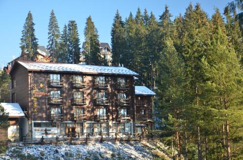 Фотография гостиницы Гора