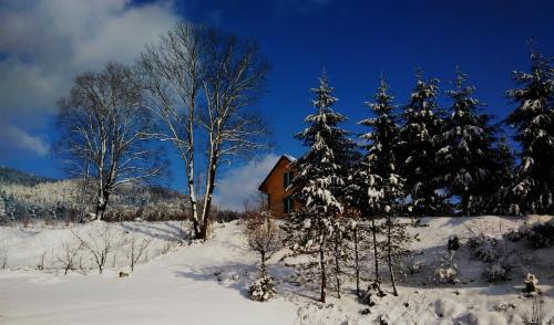 Фотография гостевого дома Domek nad stawem