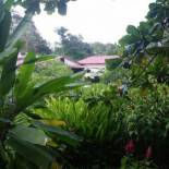 Фотография мини отеля Los Susurros. Casa