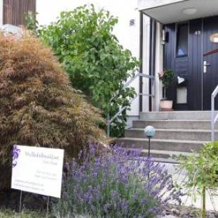 Фотографии мини отеля
MyBednBreakfast in Bottmingen