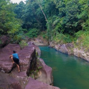 Фотография гостиницы Jungle River