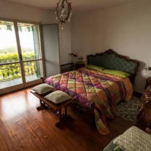 Фотографии гостевого дома
Panorami sul Trasimeno