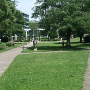 Фотография гостиницы Hotel am Friedrichsbad