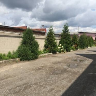 Фотография мотеля Семь звезд