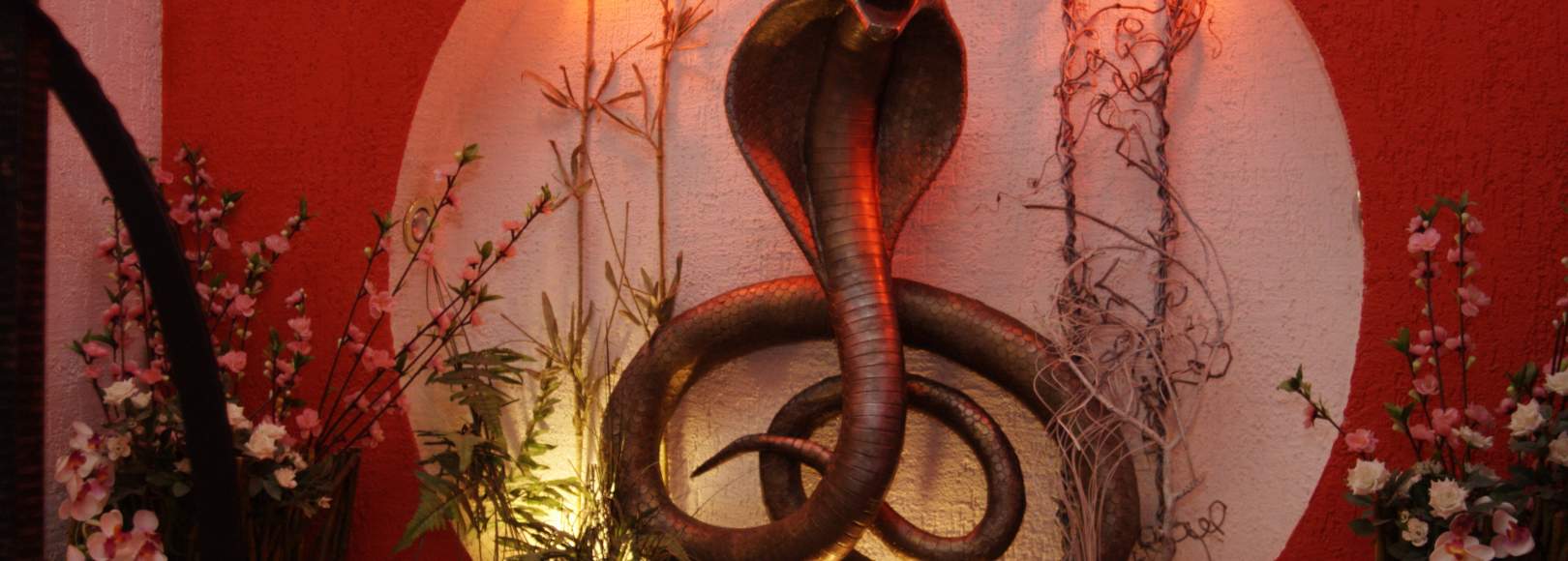 Фотография ресторана Saigon