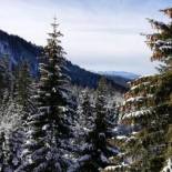 Фотография апарт отеля Jelka apartmani