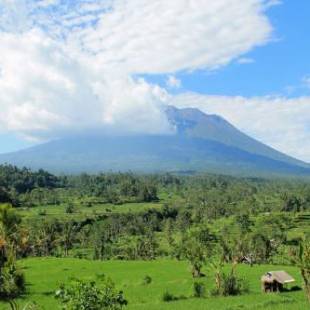 Фотографии гостевого дома 
            Maha Neka Villa
