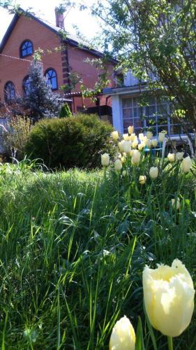 Фотография гостевого дома Forest Club