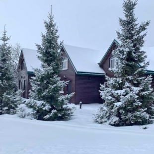 Фотография базы отдыха Гостевой дом Альбатрос