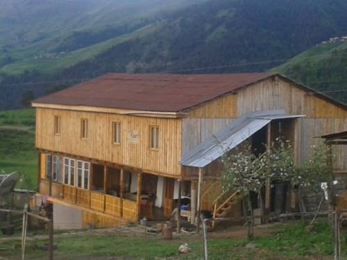 Фотография гостевого дома Old Olmalo