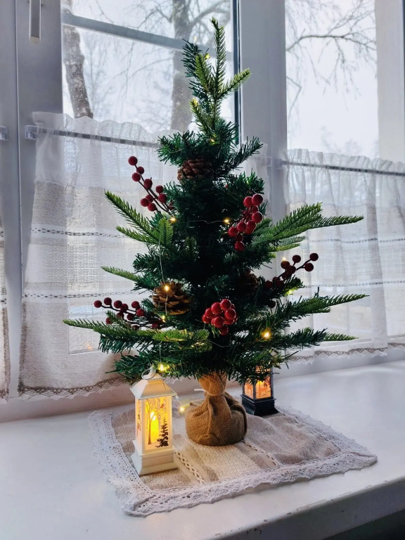 Фотография квартиры Квартира Пастораль в центре Старой Руссы