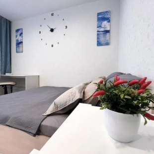 Фотография квартиры Уютные Апартаменты в Центре Тюмени