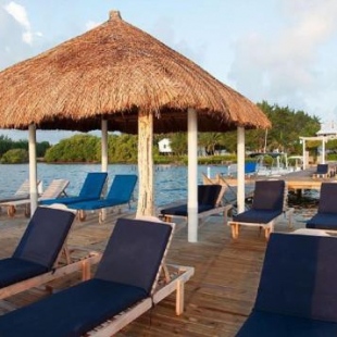 Фотография гостевого дома Palmetto Garden Cottage