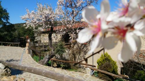 Фотография гостевого дома Valdolázaro